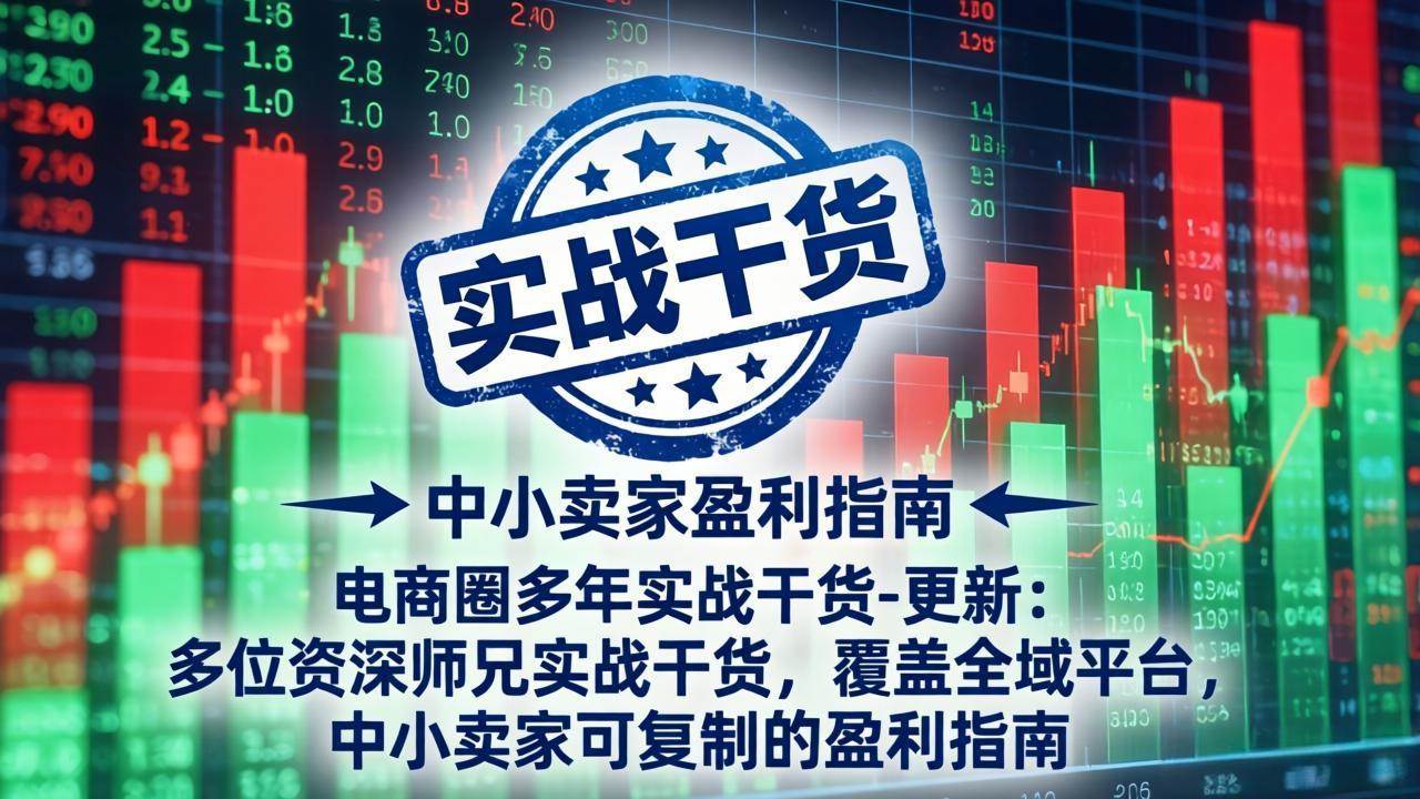 (19447期)电商圈多年实战干货-更新2026:多位资深师兄实战干货/覆盖全域平台,中小卖家可复制的盈利指南-汇联技术