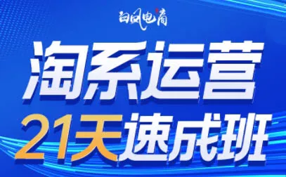 白凤电商·淘系运营21天速成班(更新7月)-汇联技术
